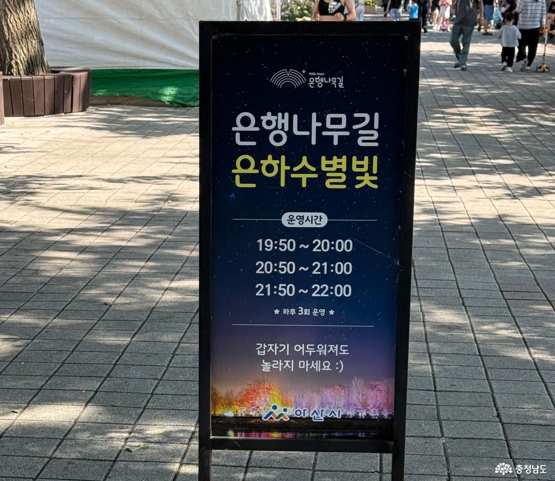 은행나무길 은하수별빛