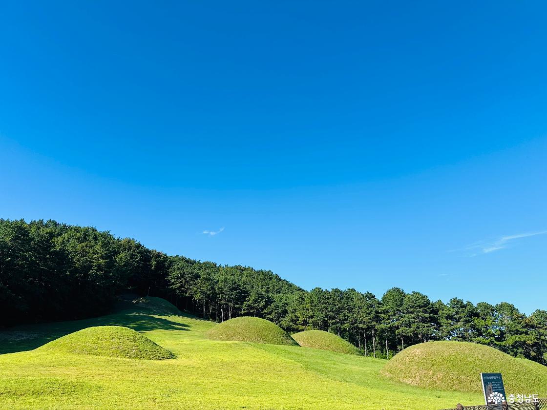 부여왕릉원 봉분2