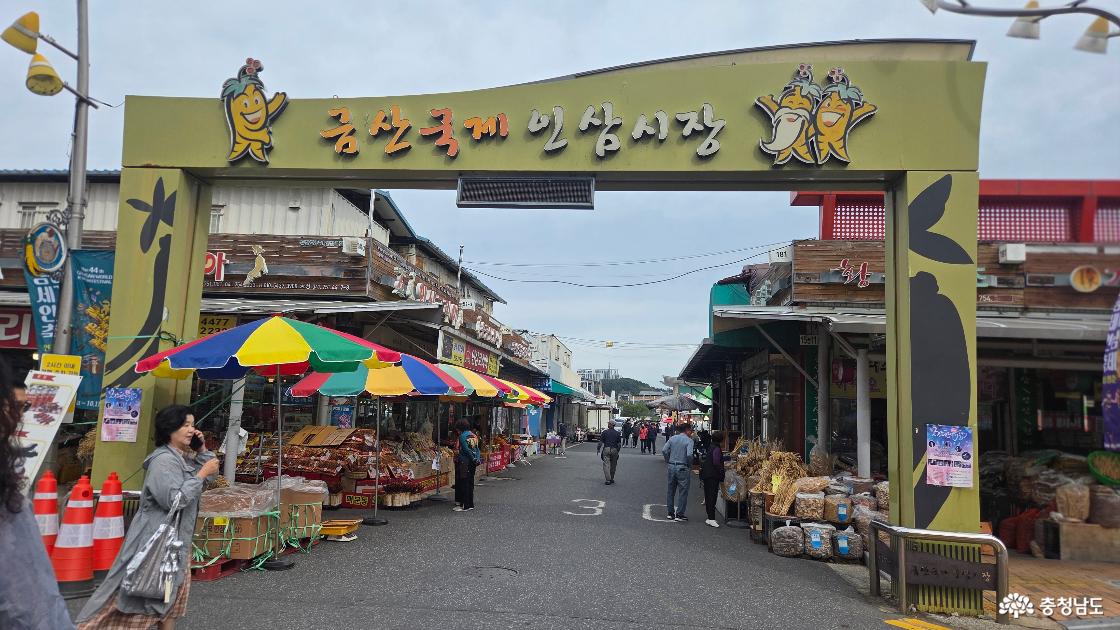 인삼 캐릭터로 꾸민 금산국제인삼시장 입구와 양쪽으로 인삼&middot;약초 상점이 늘어선 골목