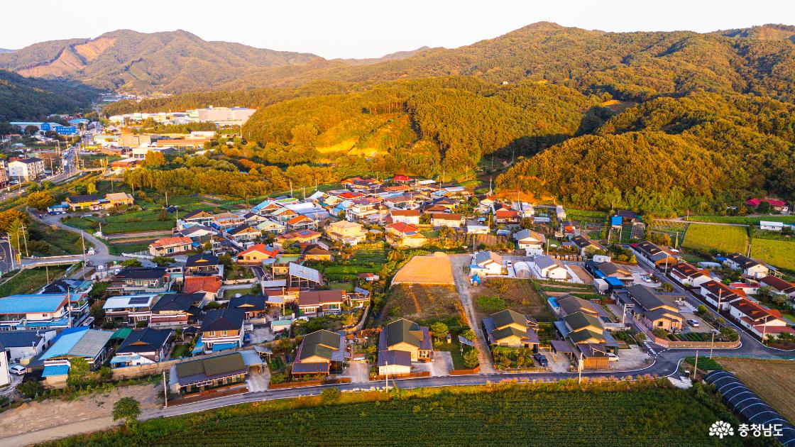 공주 가볼만한곳 유구핑크뮬리정원 2026 실시간 모습