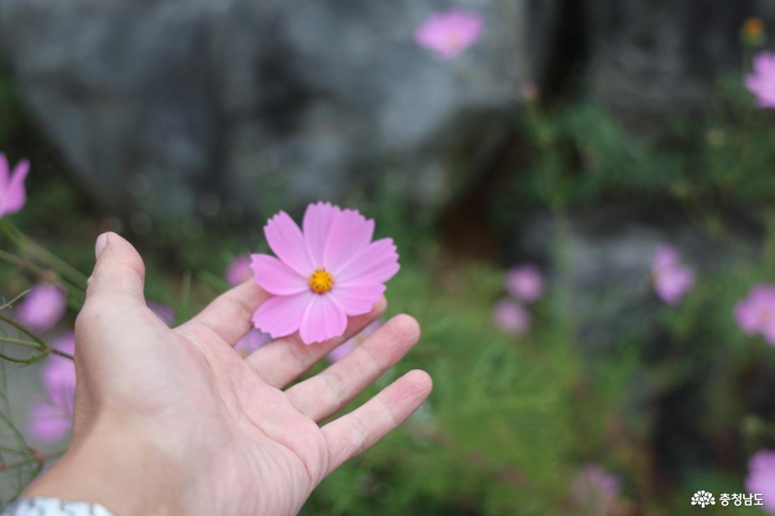 운동장에 내려앉은 우주