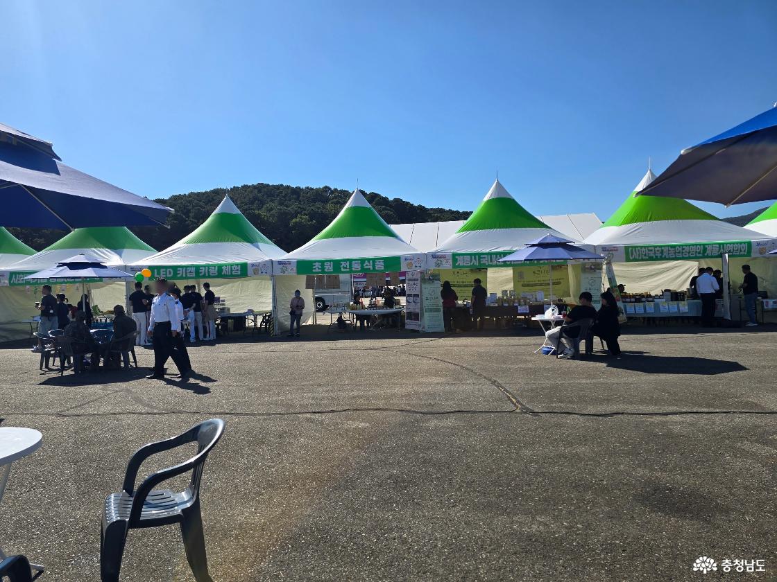 계룡군문화축제 행사장에 마련된 체험부스와 지역 먹거리 부스 전경