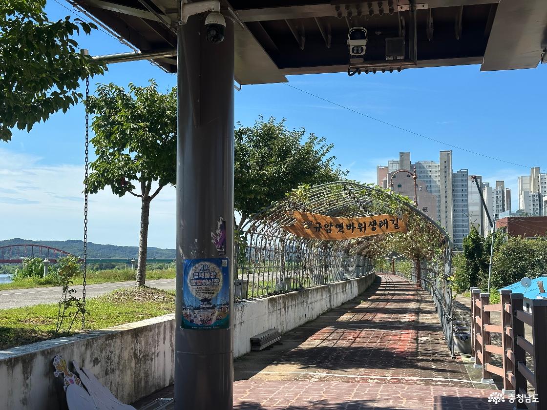 백마강변 보행로에 설치된 덩굴 터널 입구. 나무 간판에 적힌 수북정나루 생태길 문구와 터널 안으로 이어지는 벽돌 포장길.