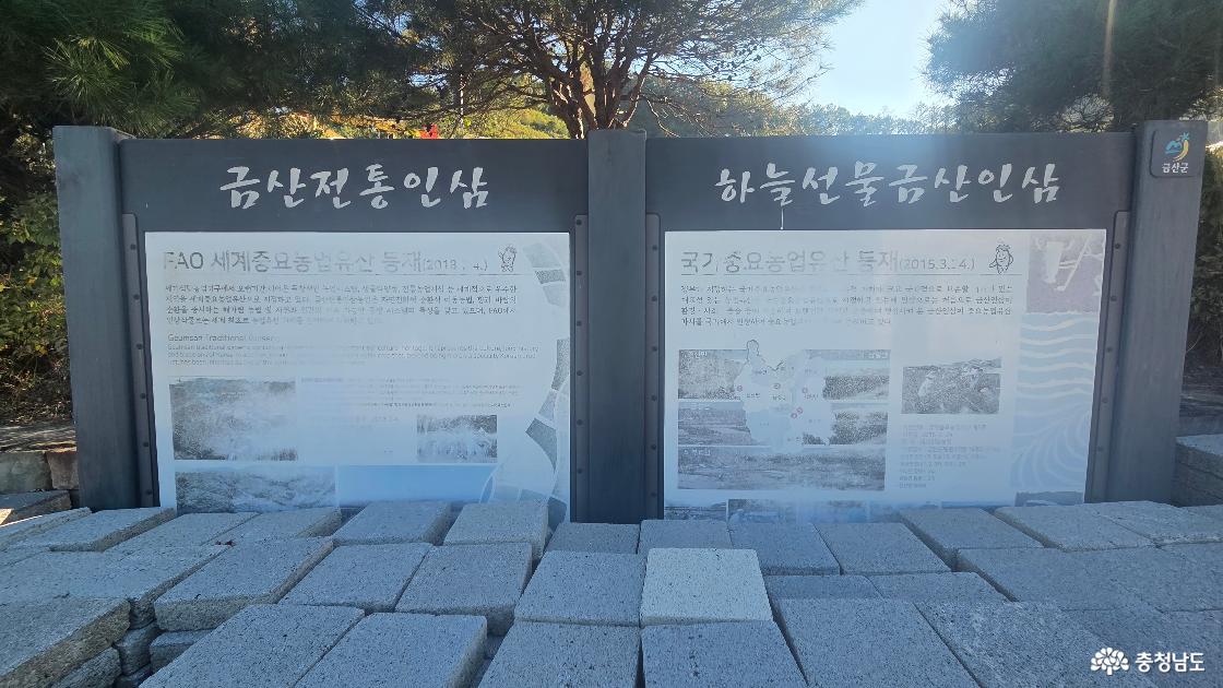 금산 개삼터와 강처사 고택