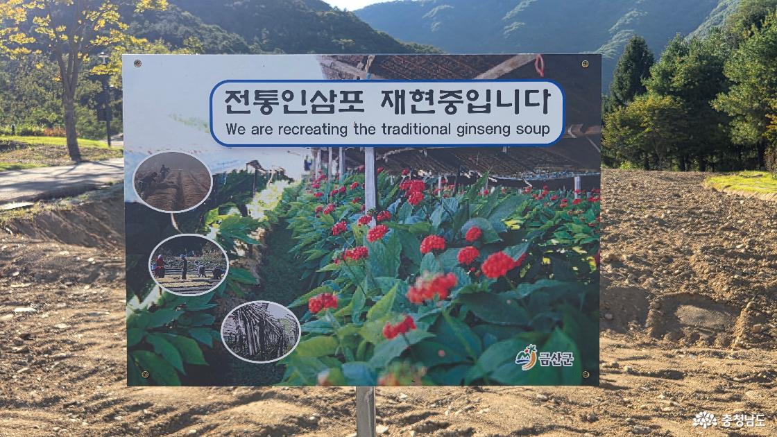 금산 개삼터와 강처사 고택