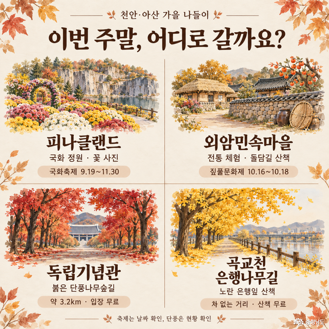 한 눈에 보는 축제 일정