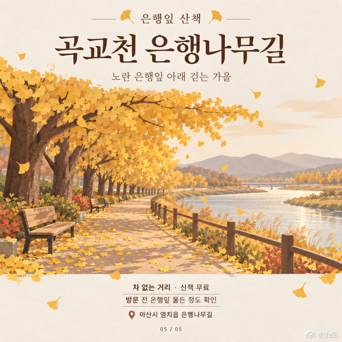 곡교천 은행나무길