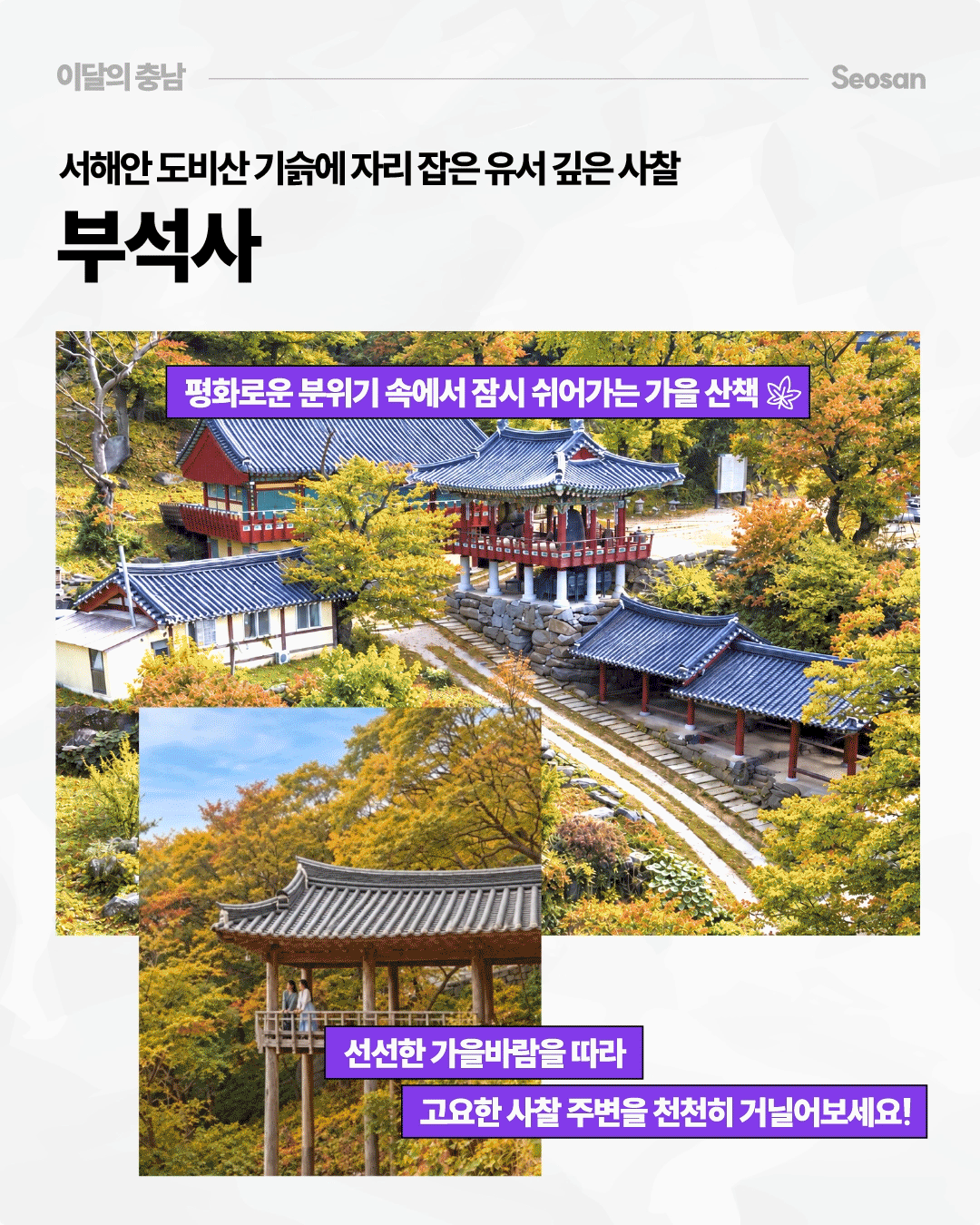 서해안 도비산 기슭에 자리 잡은 유서 깊은 사찰 &lsquo;부석사&rsquo;를 소개하며, 단풍으로 물든 숲과 전통 사찰 건물, 정자의 가을 풍경을 담았습니다. 선선한 가을바람을 느끼며 평화롭고 고요한 사찰 주변을 산책해 보라는 내용을 전합니다.