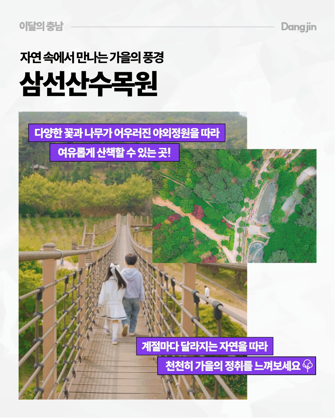 &lsquo;자연 속에서 만나는 가을의 풍경, 삼선산수목원&rsquo;을 소개하며 숲속 출렁다리를 걷는 두 사람과 녹음이 우거진 수목원의 모습을 담았습니다. 다양한 꽃과 나무가 어우러진 야외정원을 산책하며 계절마다 달라지는 자연과 가을의 정취를 느낄 수 있는 곳입니다.
