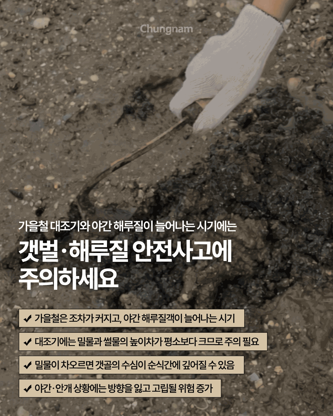 갯벌에서 흰 장갑을 낀 손이 도구를 잡고 진흙을 파헤치는 모습을 배경으로, 가을철 갯벌과 해루질 안전사고의 위험성을 안내합니다. 가을철에는 조차가 커지고 야간 해루질객이 늘어나며, 밀물과 썰물의 높이 차가 크고 밀물 때 갯골의 수심이 급격히 깊어질 수 있어 주의가 필요합니다. 특히 야간이나 안개가 낀 상황에서는 방향을 잃거나 고립될 위험이 커집니다.