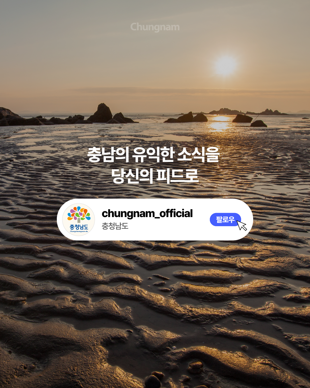 황금빛 노을이 비치는 갯벌과 바위가 펼쳐진 풍경 위에 &lsquo;충남의 유익한 소식을 당신의 피드로&rsquo;라는 문구가 적혀 있습니다. 충청남도 공식 인스타그램 계정 &lsquo;chungnam_official&rsquo;과 팔로우 버튼을 보여주며 계정 팔로우를 안내합니다.