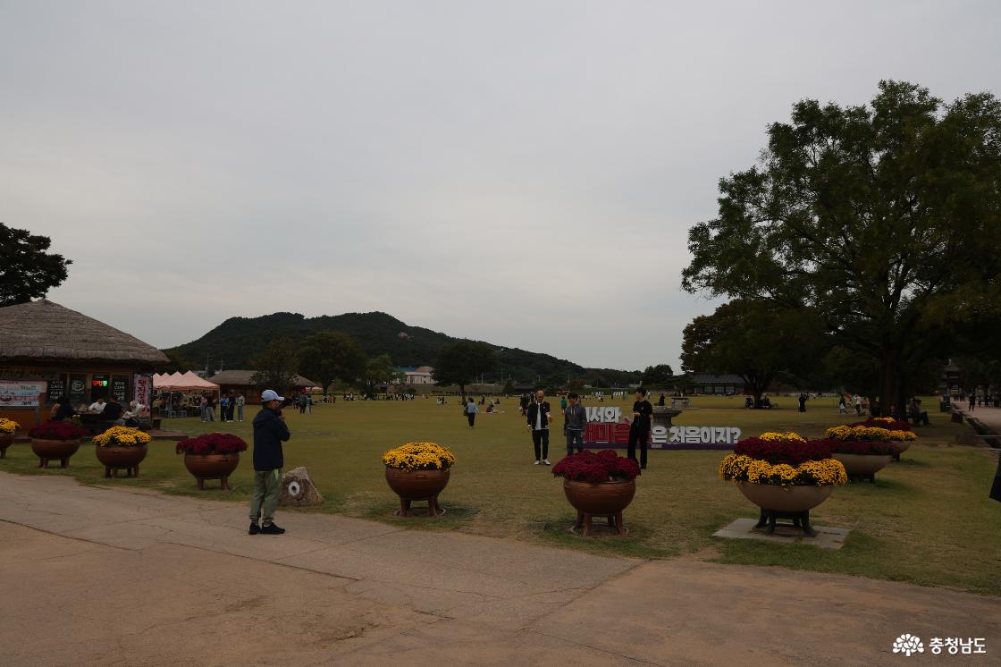 노란색과 자주색 국화 화분이 놓인 해미읍성의 넓은 잔디밭과 산책객들