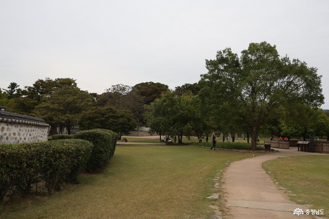 돌담과 낮은 생울타리, 큰 나무 사이로 굽어지는 해미읍성 산책길