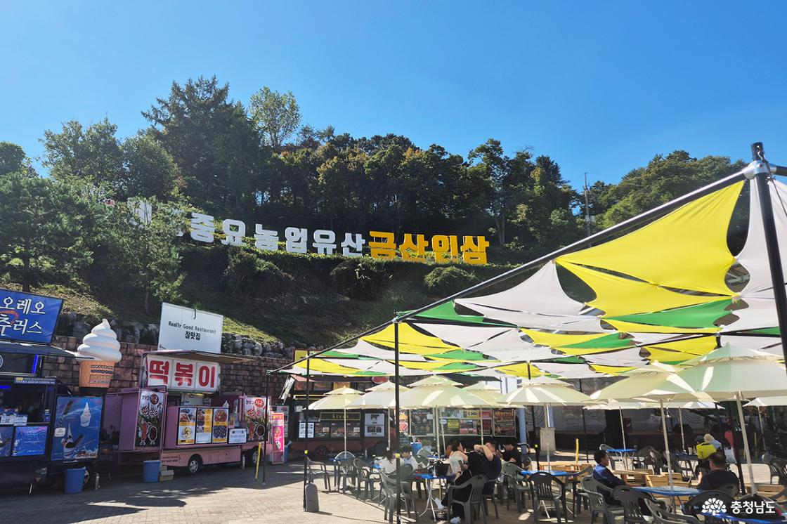 ‘세계중요농업유산 금산인삼’을 알리는 대형 홍보물과 먹거리 장터