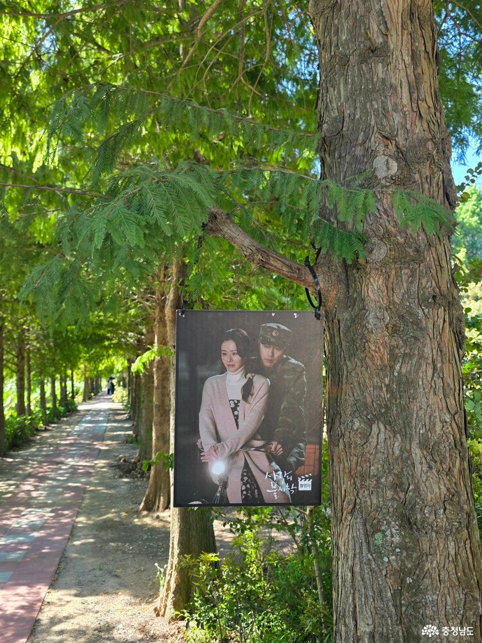 청산수목원