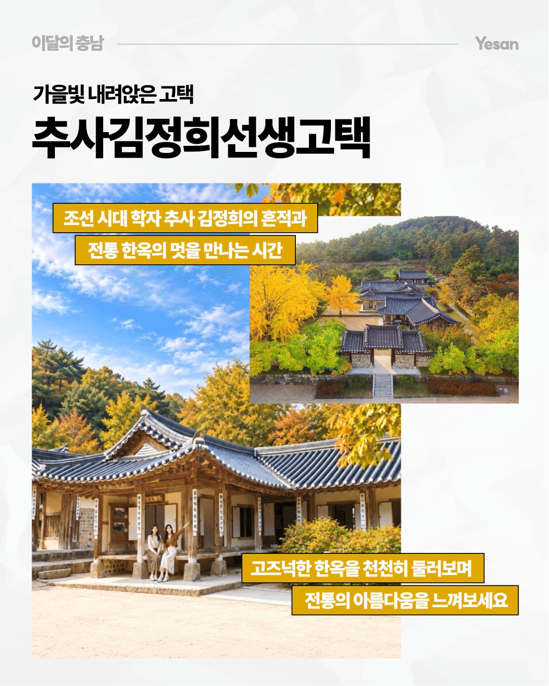 &lsquo;가을빛 내려앉은 고택, 추사김정희선생고택&rsquo;이라는 제목 아래 노란 은행나무와 울긋불긋한 단풍으로 둘러싸인 전통 한옥의 모습이 담겨 있습니다. 조선 시대 학자 추사 김정희의 흔적과 전통 한옥의 멋을 만나고, 고즈넉한 한옥을 천천히 둘러보며 전통의 아름다움을 느껴보라는 문구가 적혀 있습니다.