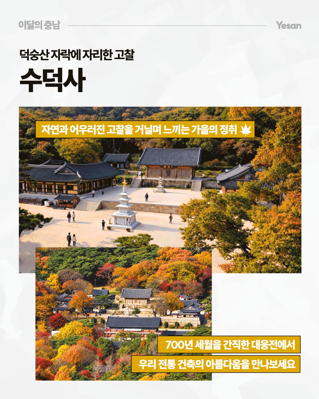 &lsquo;덕숭산 자락에 자리한 고찰, 수덕사&rsquo;라는 제목 아래 노랗고 붉게 물든 가을 단풍 사이로 수덕사 대웅전과 여러 전통 건물이 자리한 풍경이 담겨 있습니다. 자연과 어우러진 고찰을 거닐며 가을의 정취를 느끼고, 700년 세월을 간직한 대웅전에서 우리 전통 건축의 아름다움을 만나보라는 문구가 적혀 있습니다.
