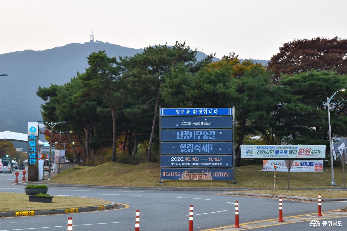천안 가을밤 여행, 독립기념관 단풍나무숲길 야간개장 첫날 풍경