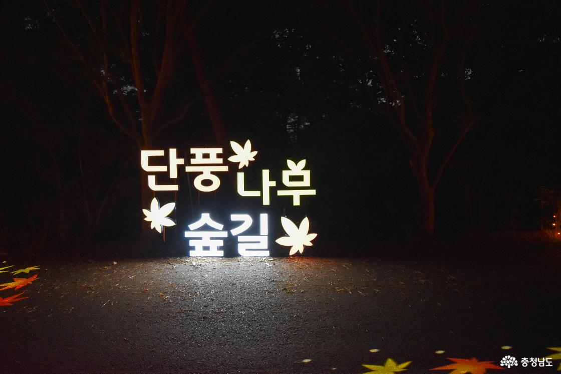단풍나무숲길 글자 LED 조명등