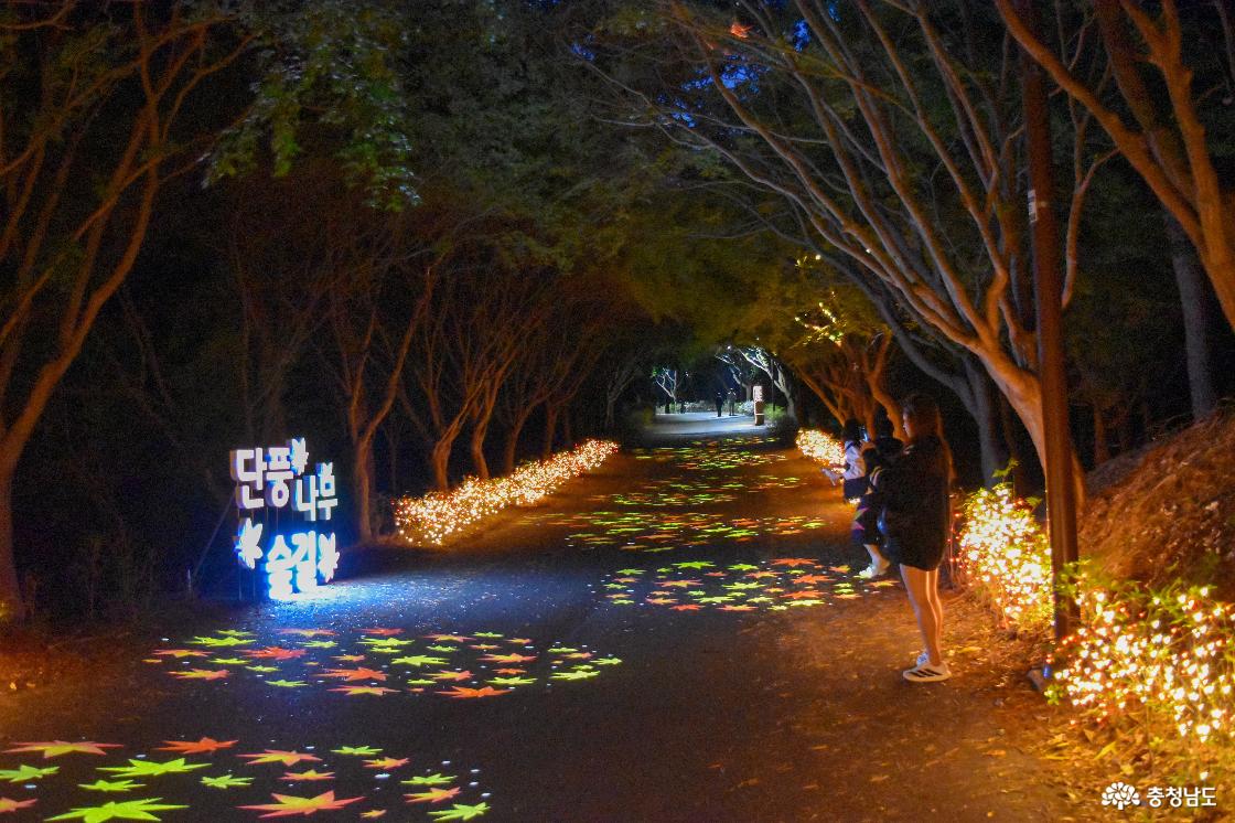 단풍나무숲길 LED 포토존