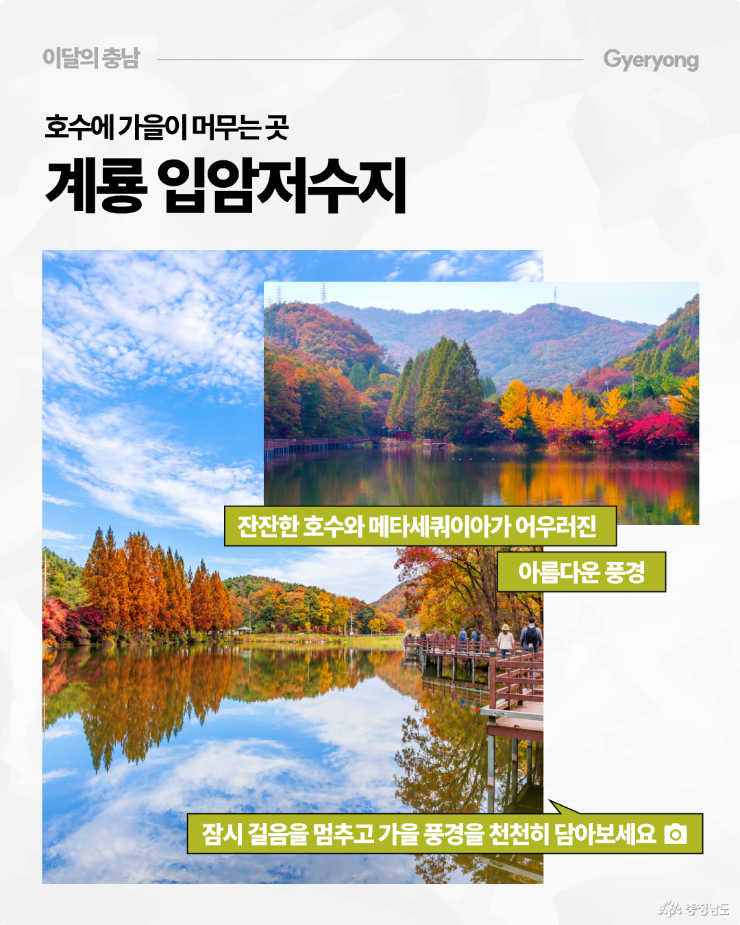 &lsquo;호수에 가을이 머무는 곳, 계룡 입암저수지&rsquo;라는 제목 아래 푸른 하늘과 주황색 메타세쿼이아 나무가 호수에 비치는 풍경이 담겨 있습니다. 오른쪽에는 붉고 노랗게 물든 단풍과 산이 잔잔한 수면에 반사된 사진이 있으며, 가을 풍경을 감상하며 산책할 수 있는 장소로 소개합니다.