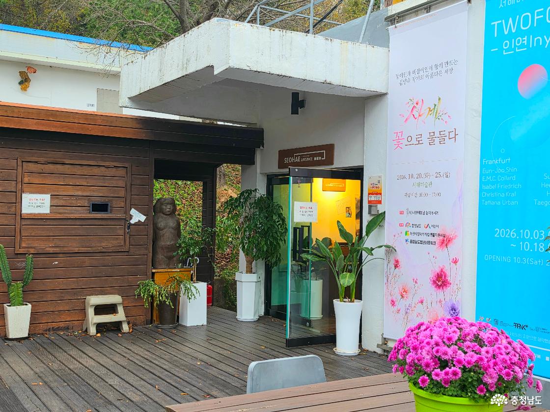 서해미술관 입구에는 ‘사계, 꽃으로 물들다’ 전시를 알리는 현수막이 길게 걸렸습니다. 활짝 핀 분홍빛 국화와 나무 데크 위에 내려앉은 낙엽이 가을 정취를 더하며 관람객을 맞이했습니다.