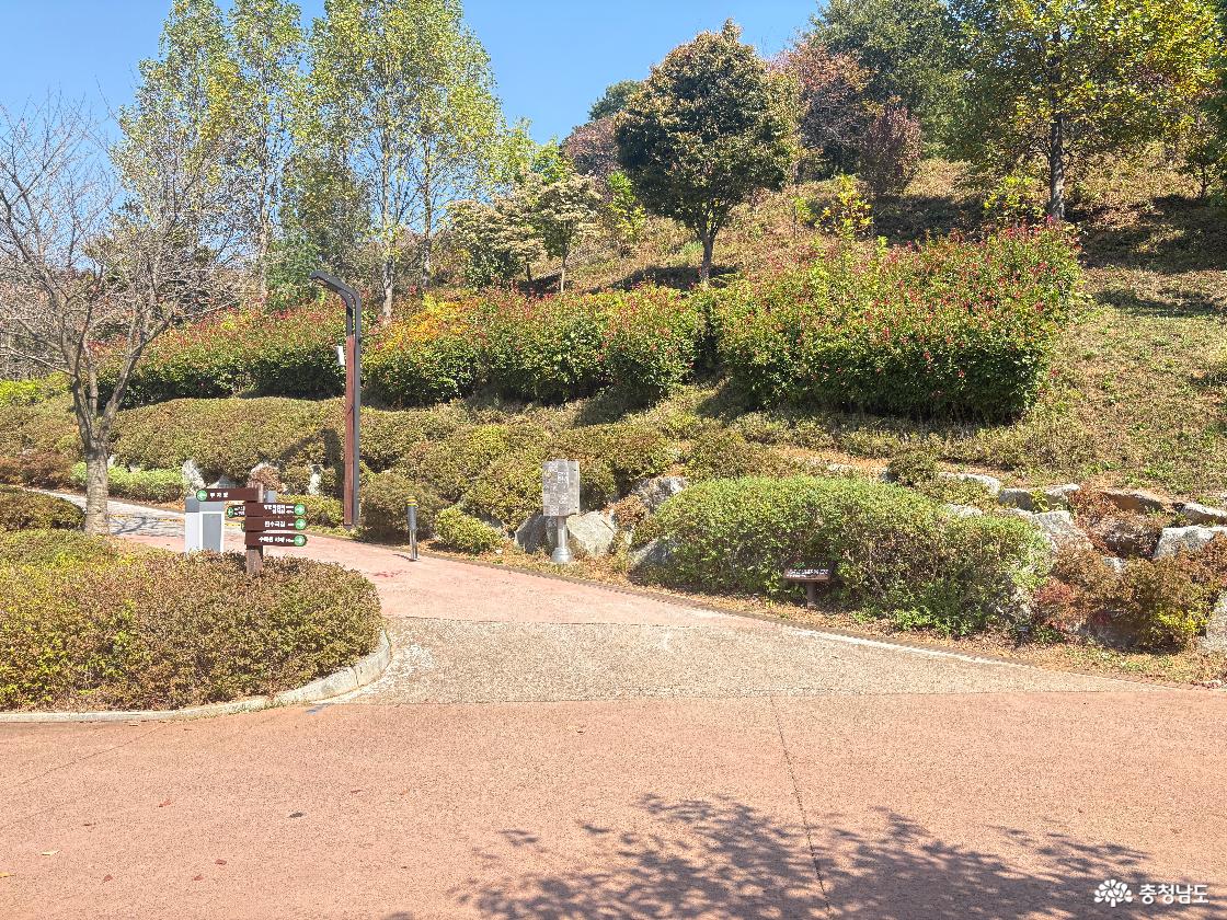 당진 삼선산수목원, 무료로 만나는 가을 숲길과 알록달록 단풍 산책
