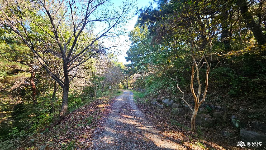 창연정 가는 산책로 사진임