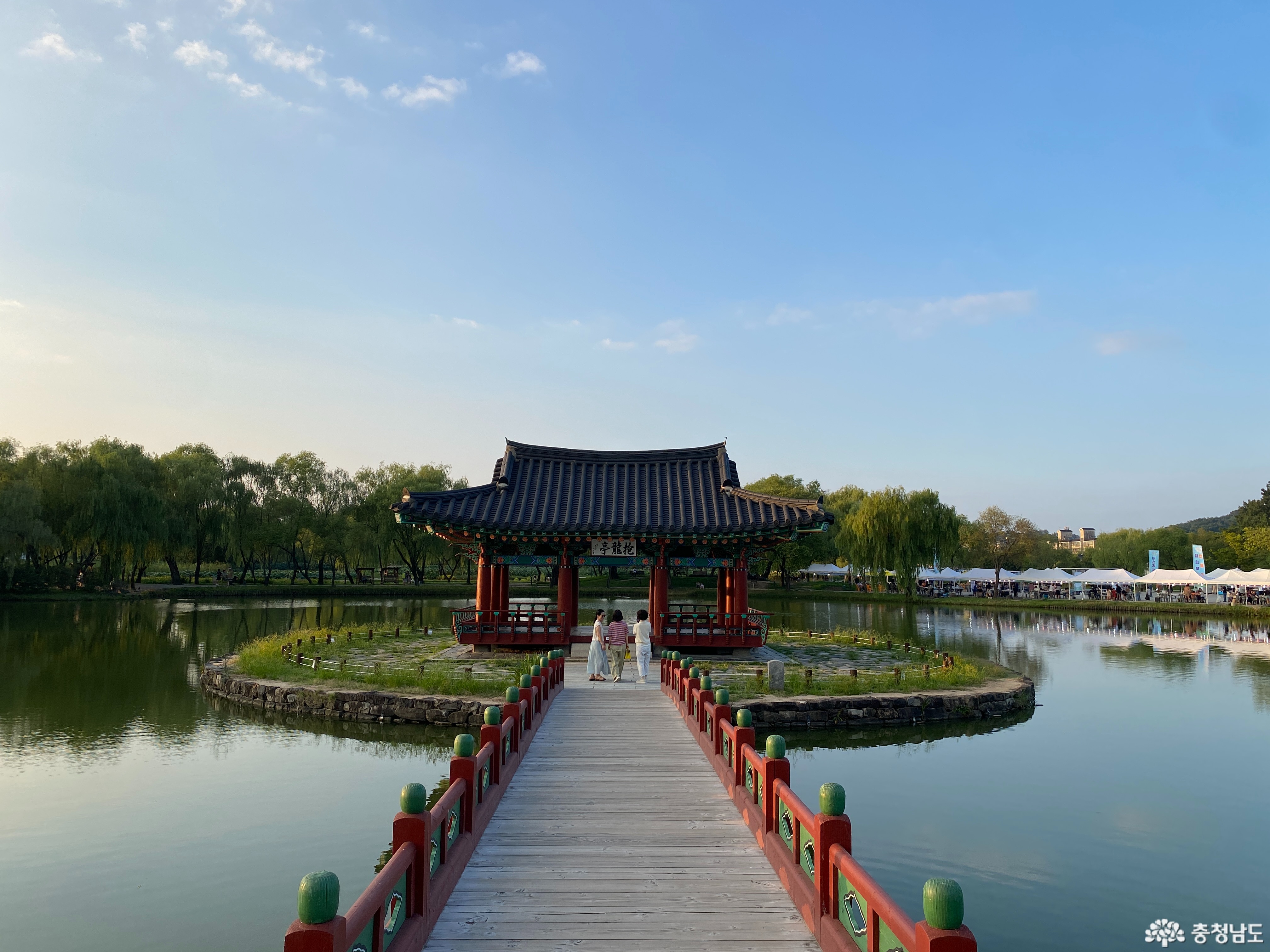 사진