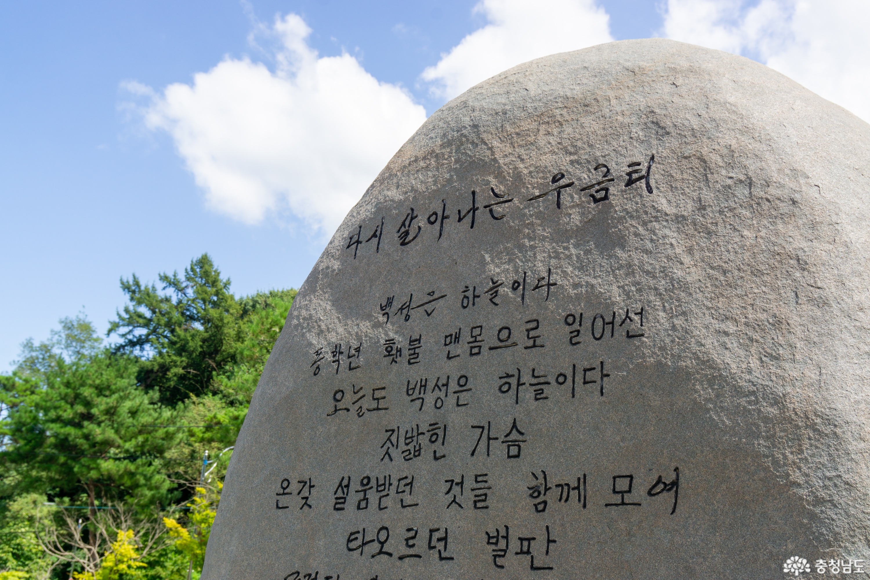 사진