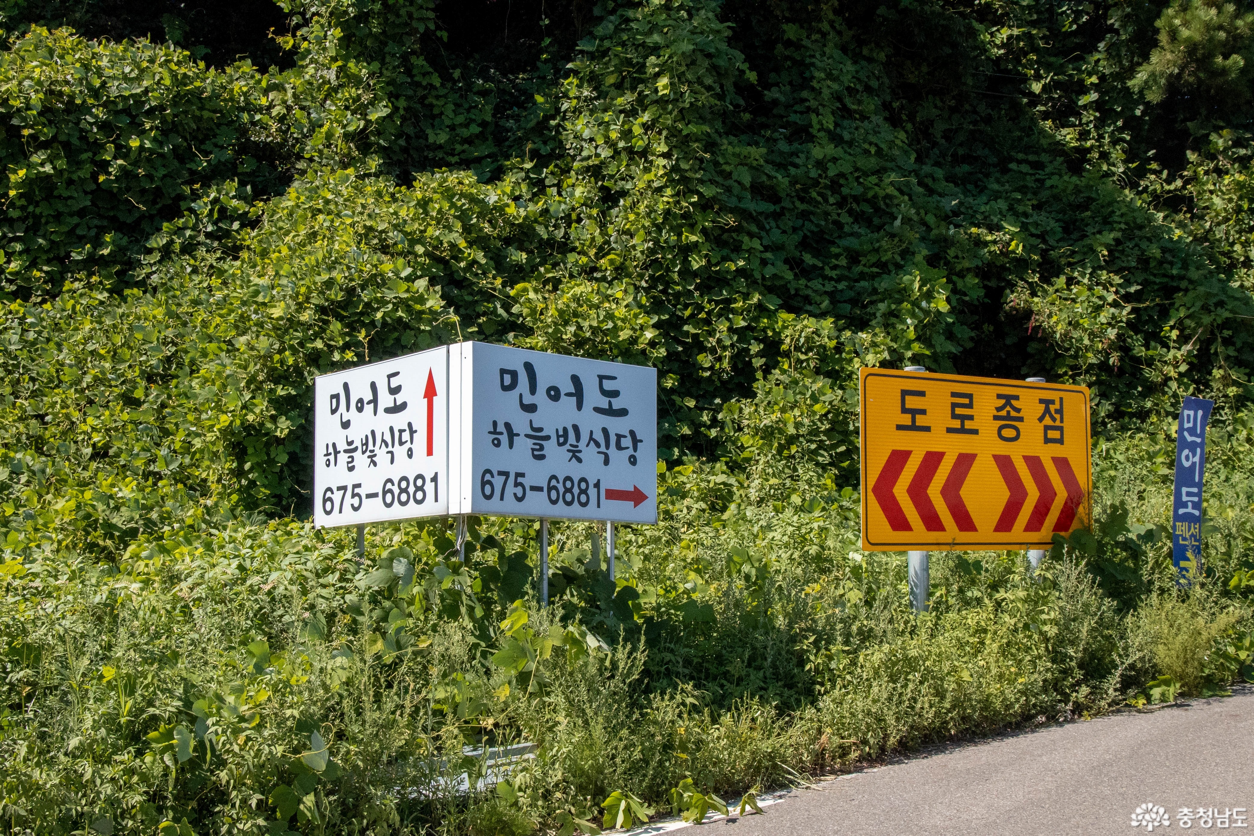 태안 민어도 해변 가는 길 사진