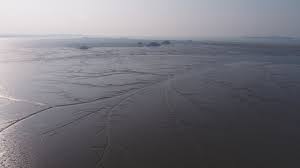 충남, 지속 가능한 미래를 향한 두 날개: 바다를 살리고, 자연으로 치유하다