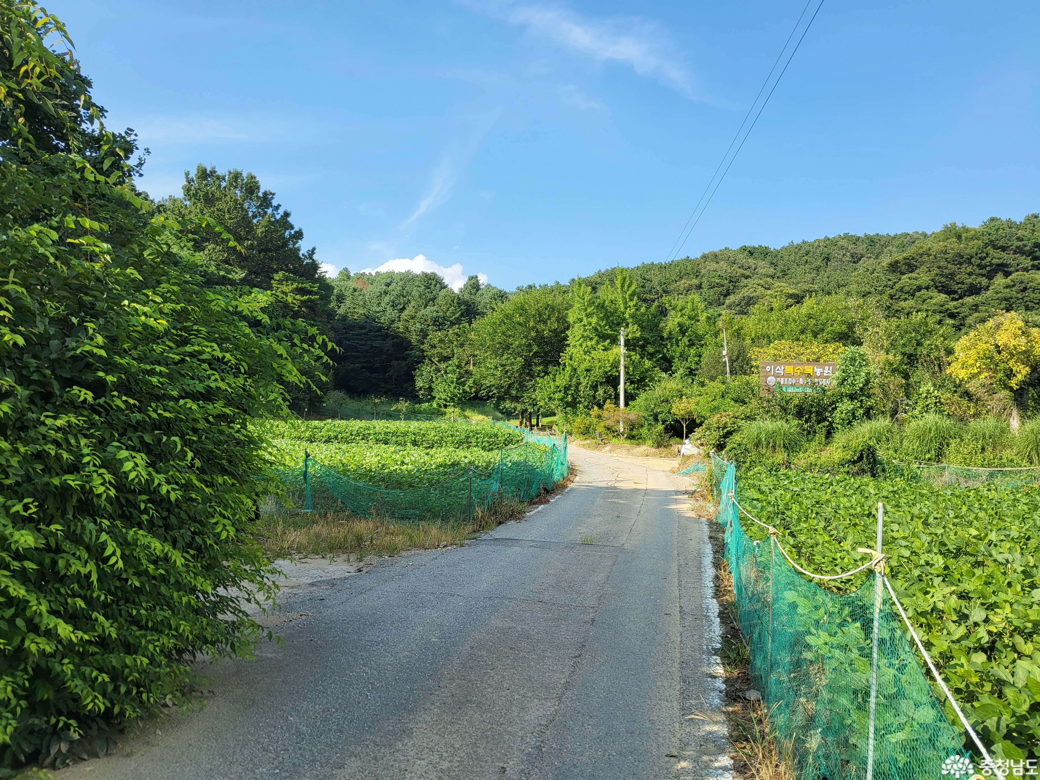 external_image