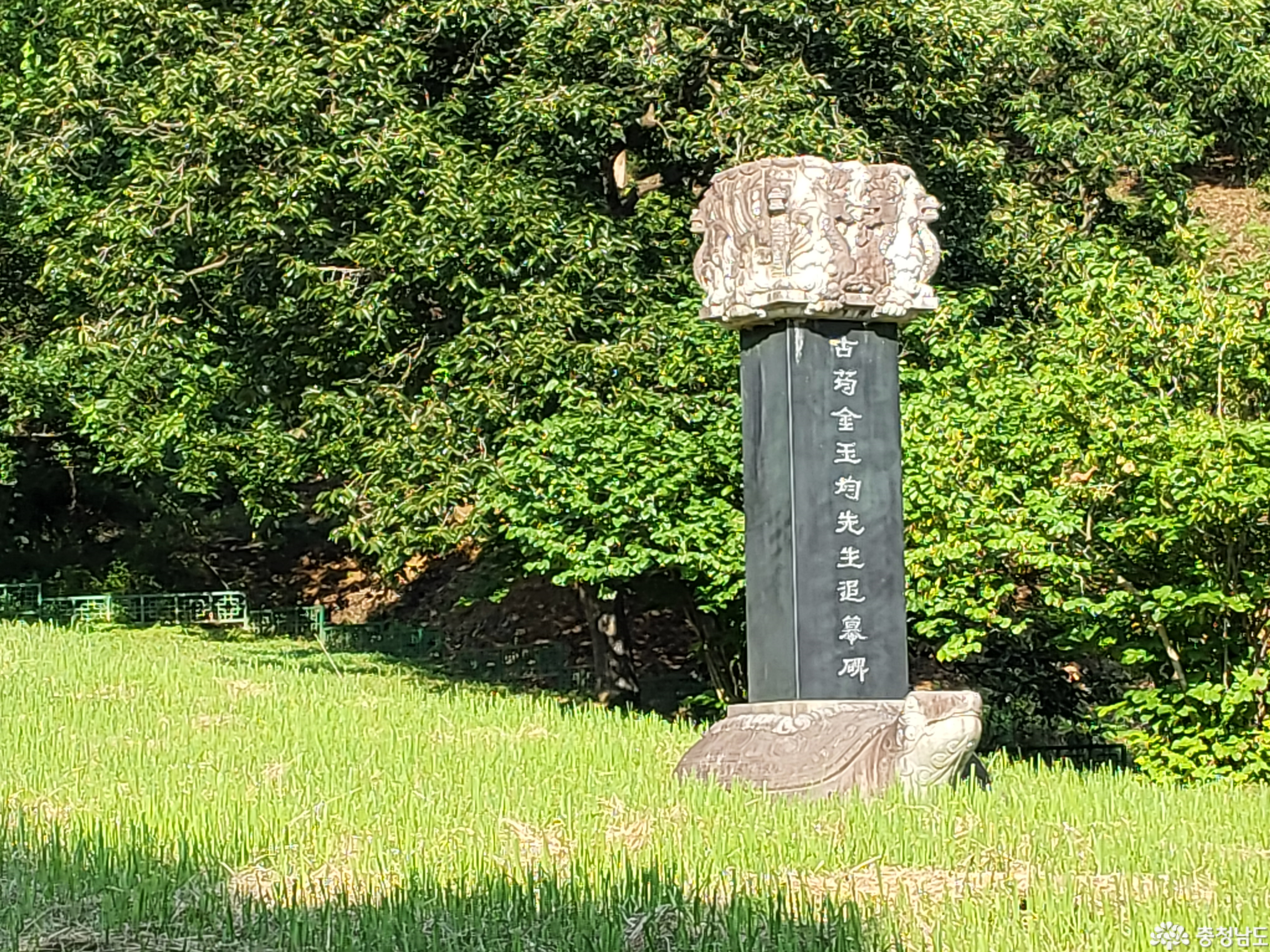 external_image