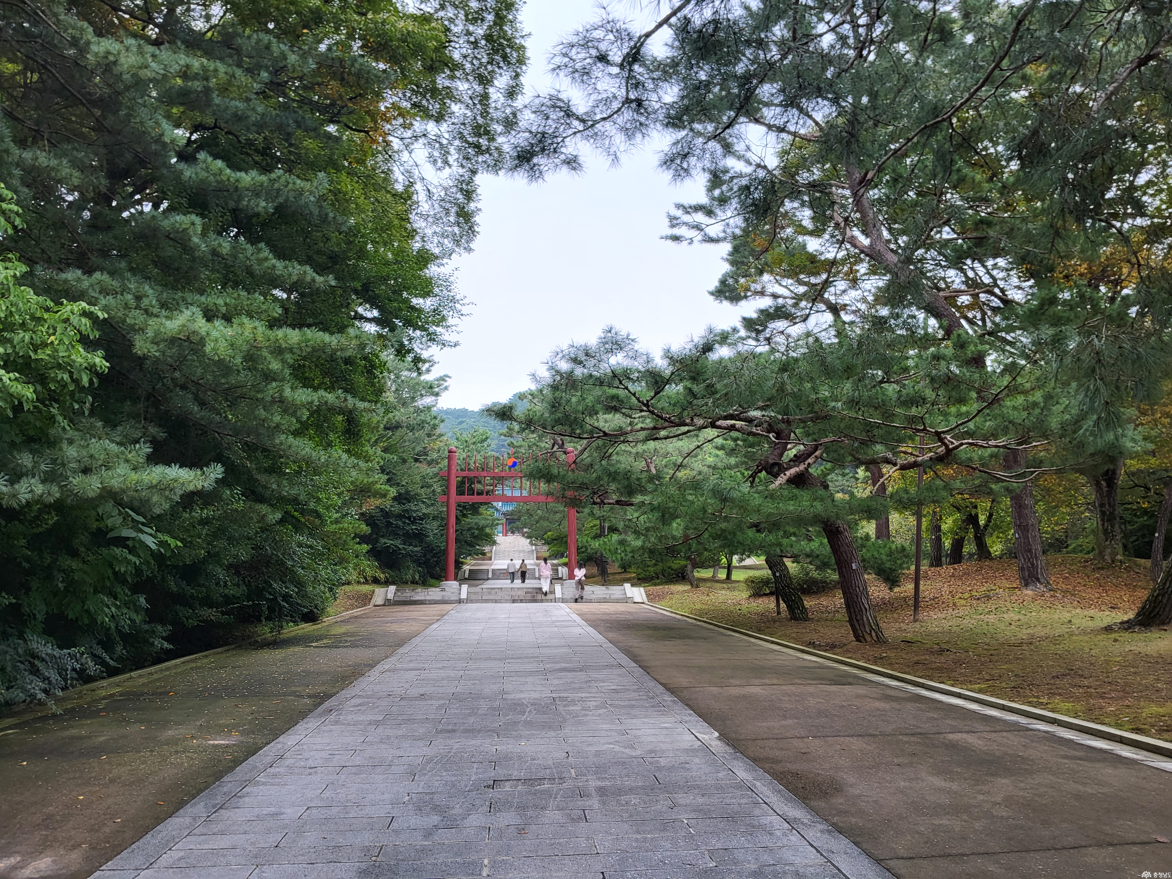external_image