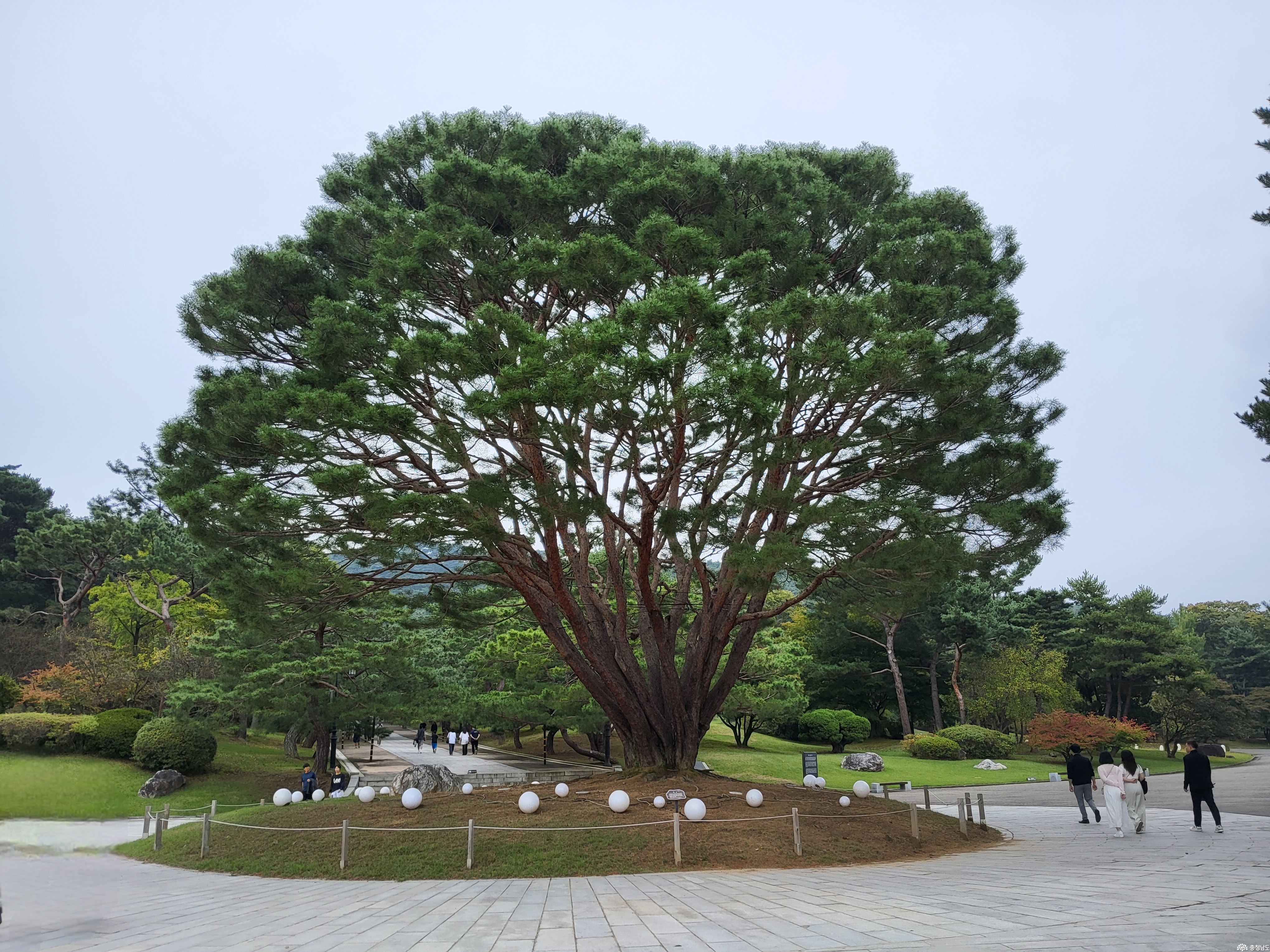 external_image