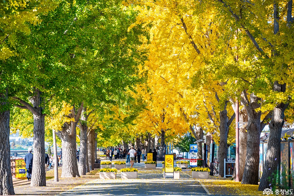 external_image external_image