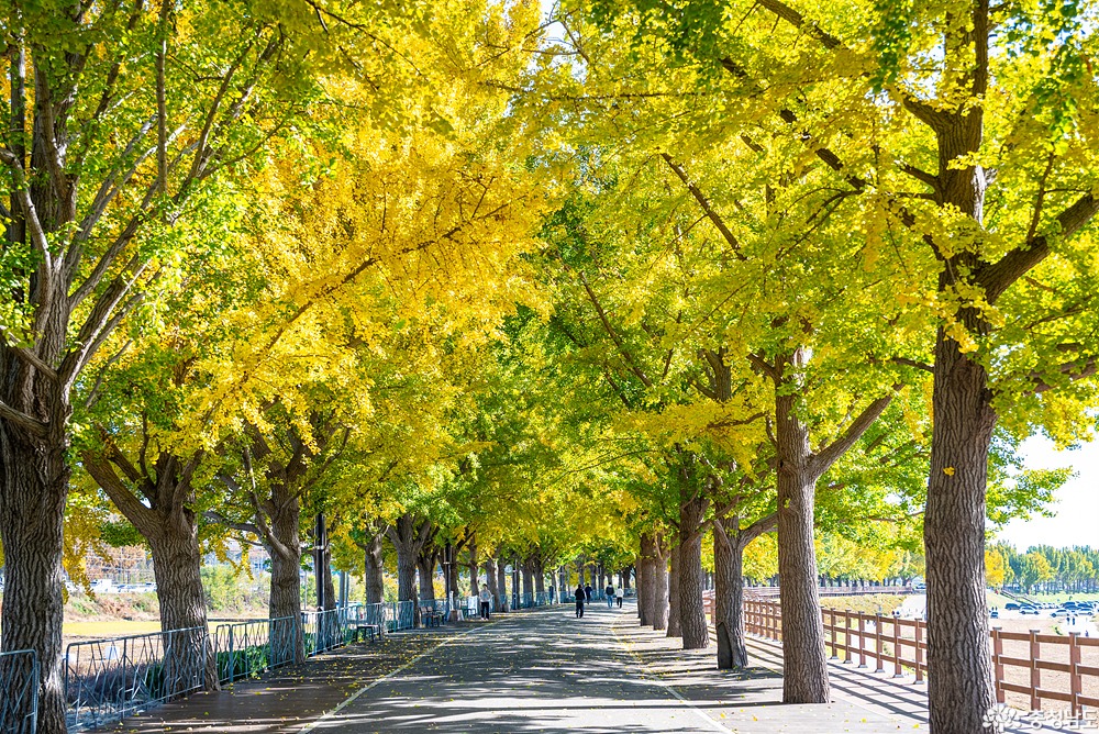 external_image external_image