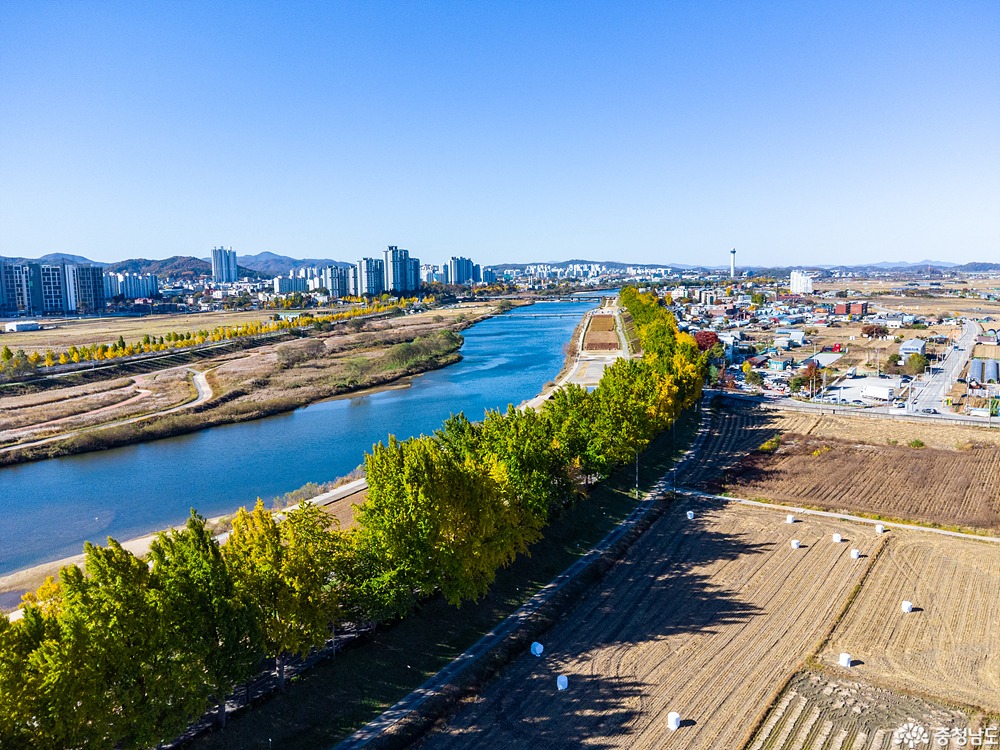 external_image external_image