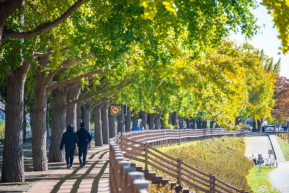 external_image external_image