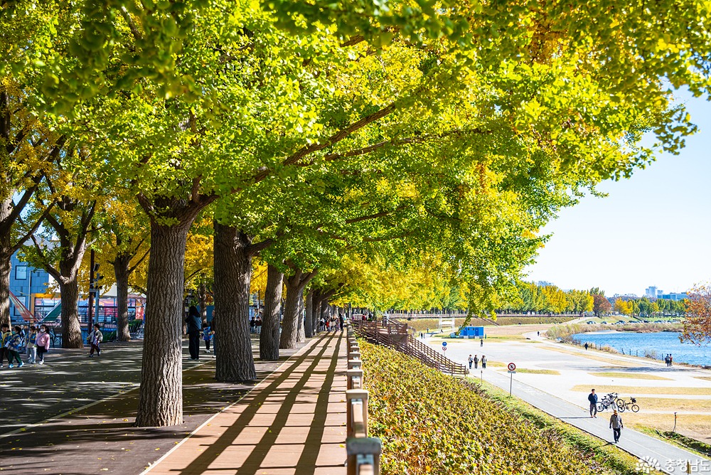 external_image external_image