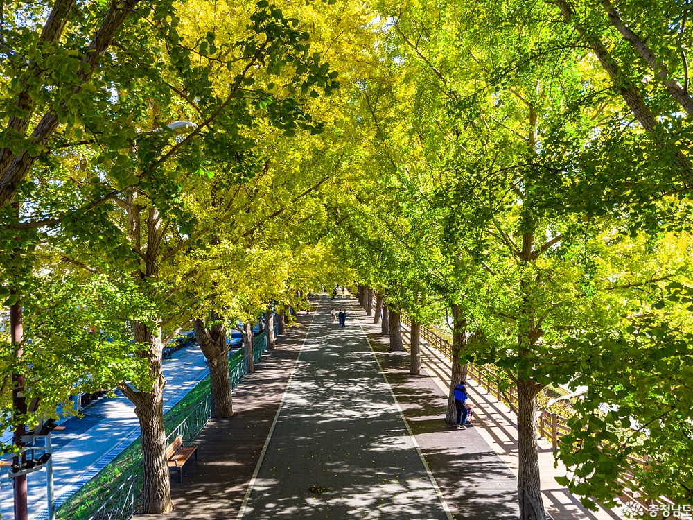 external_image external_image