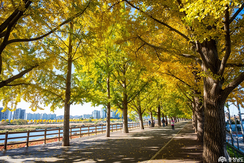 external_image external_image