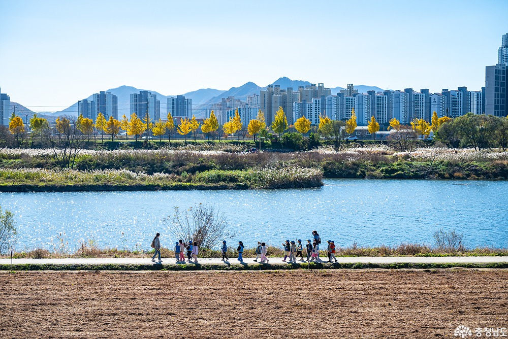 external_image external_image