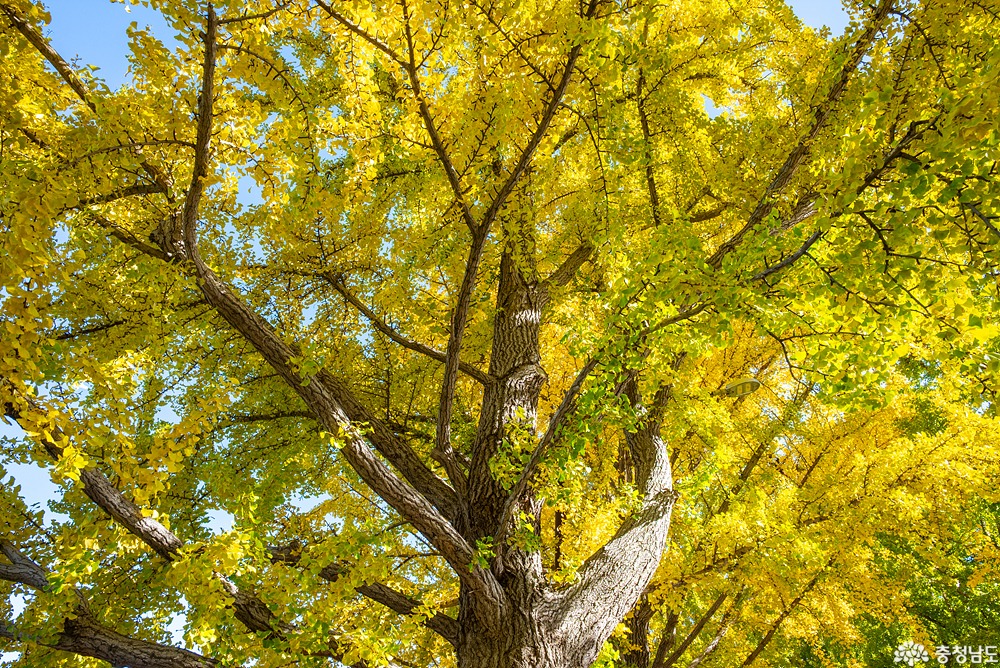 external_image external_image