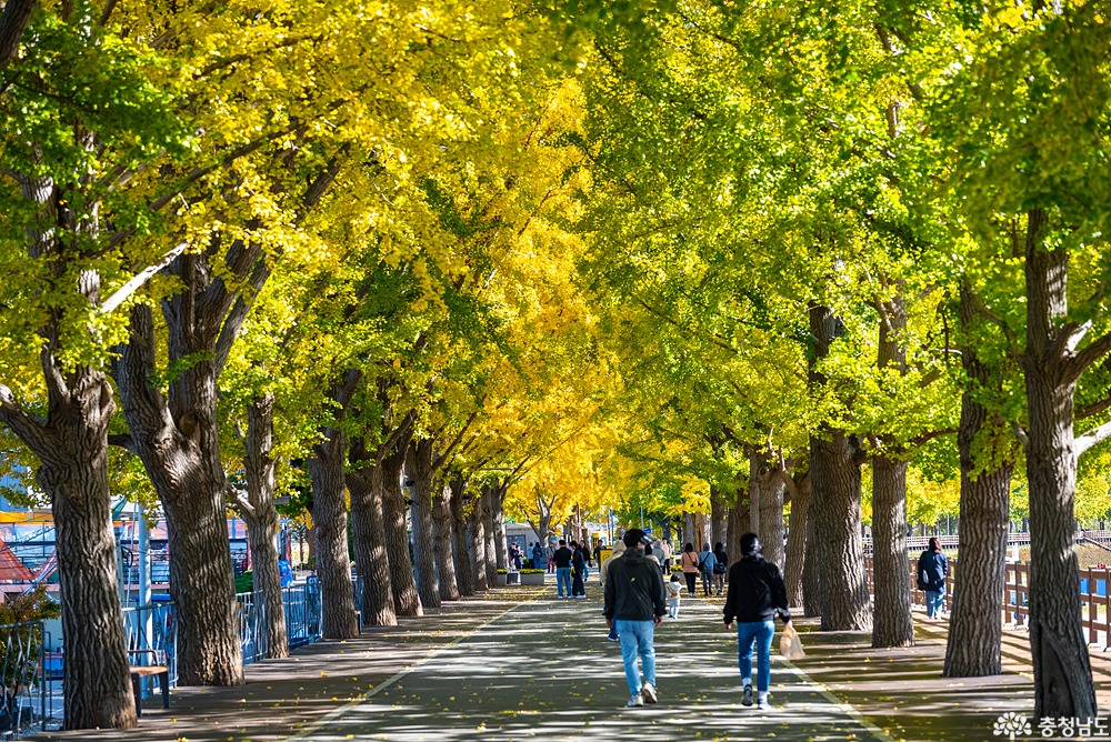 external_image external_image