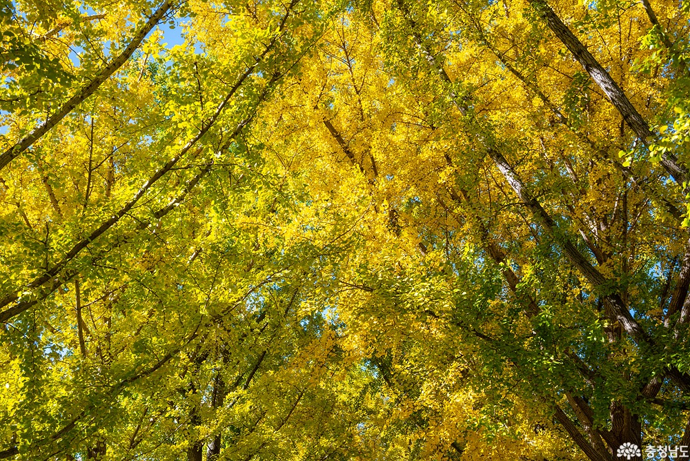 external_image external_image