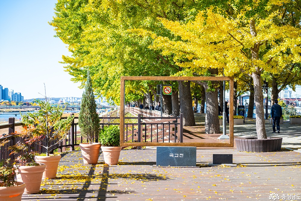 external_image external_image