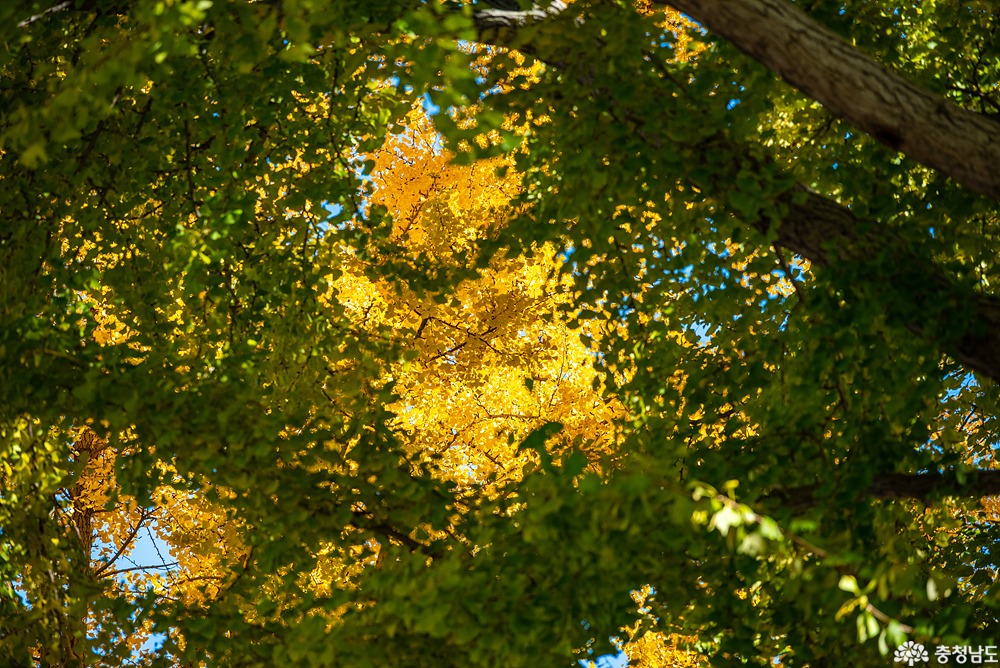 external_image external_image