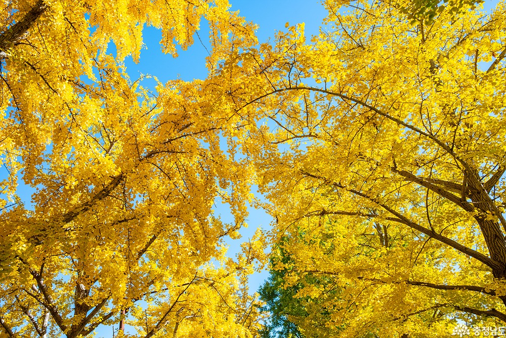 external_image external_image